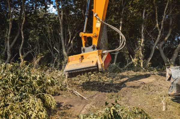 Cost of Brush Removal Service in Lake Placid
