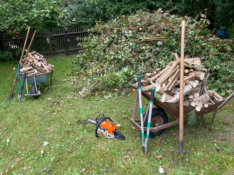 Stump and Debris Removal